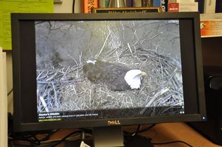 Current Highlights image