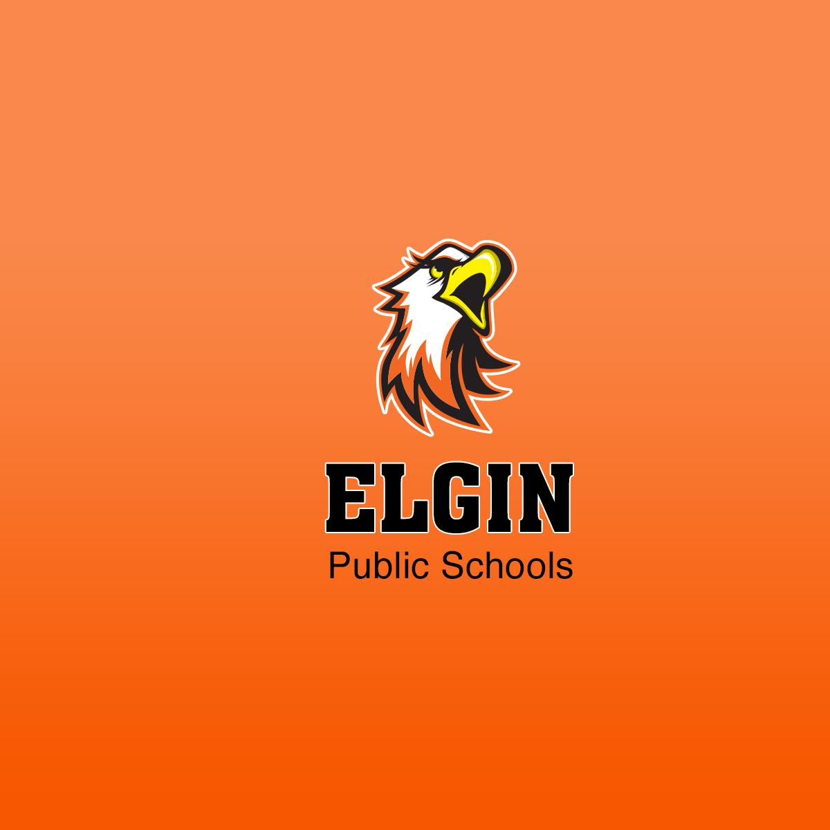 Elgin Public Schools Students