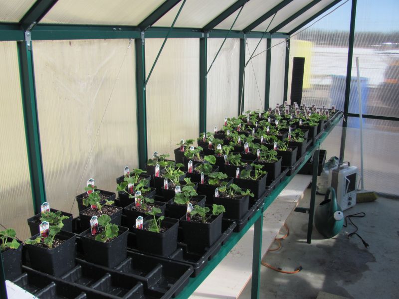 Elgin Public Schools FFA Greenhouse Comes to Life